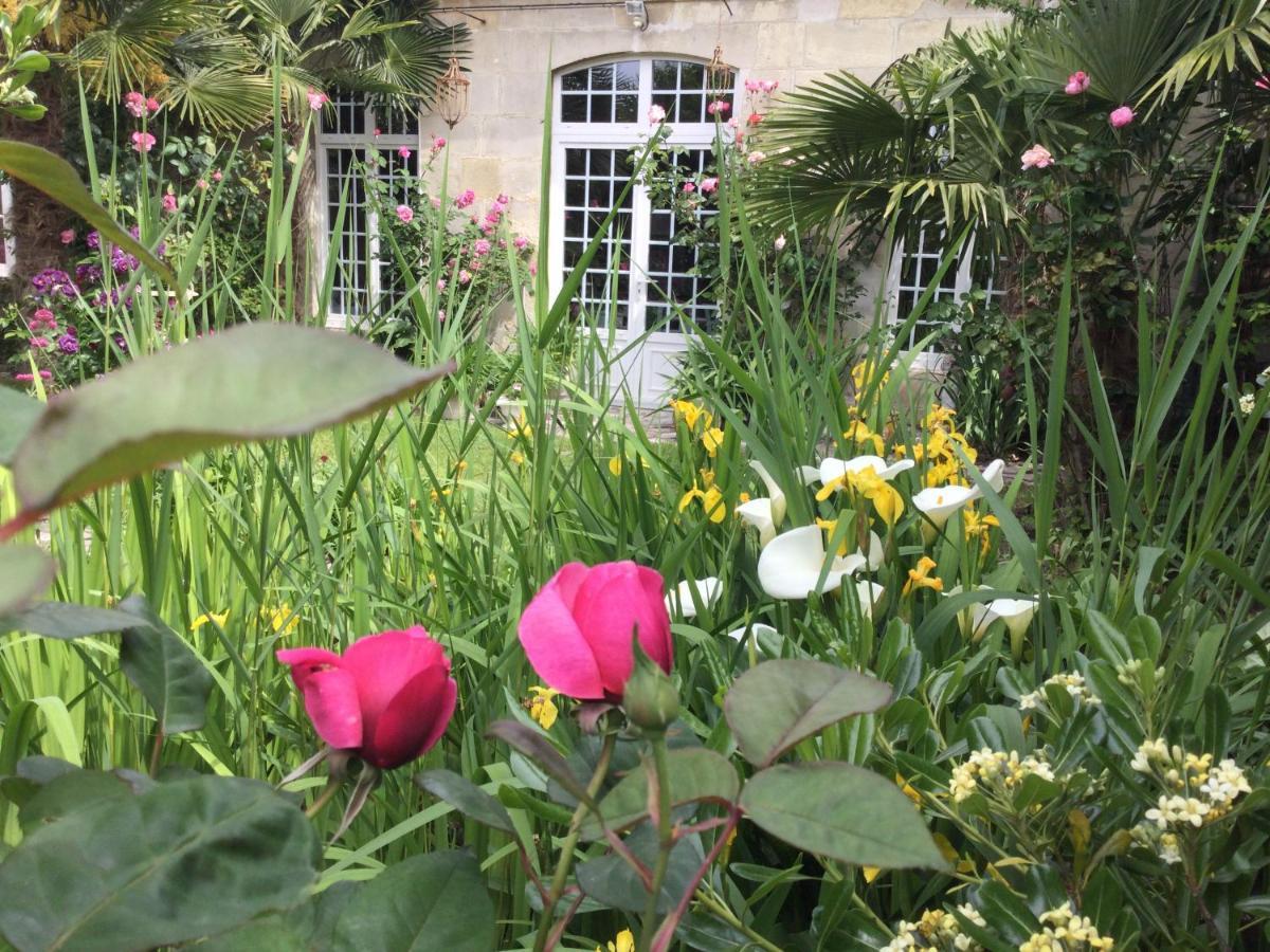 L'Orangerie Du General Bed and Breakfast Saint-Jean-dʼAngély Eksteriør billede